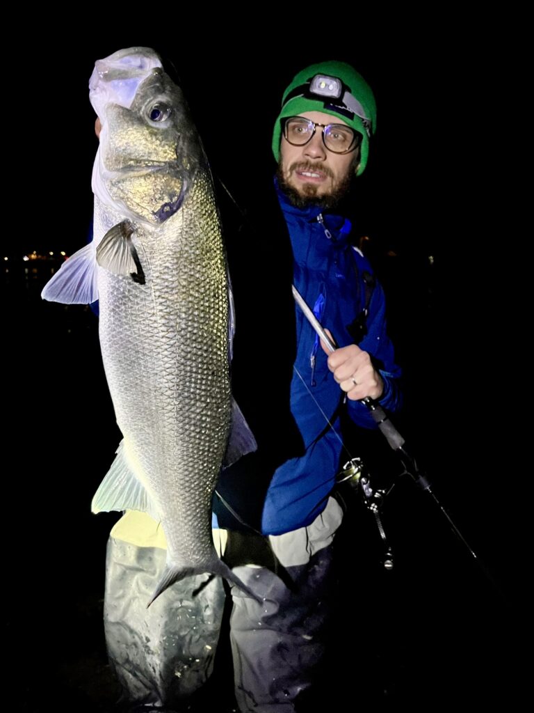 Bar pêche nuit pêcheur