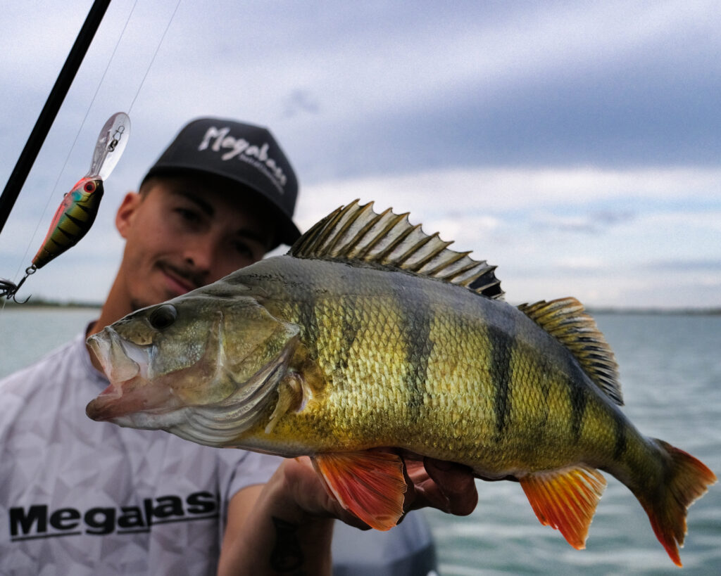 Perche pêche B-Switcher 3.0