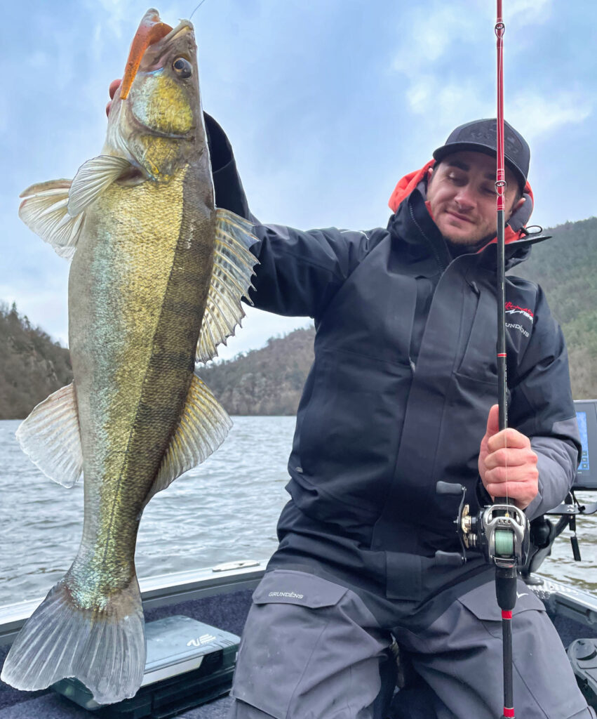 sandre pêcher leurre bateau ultimate fishing