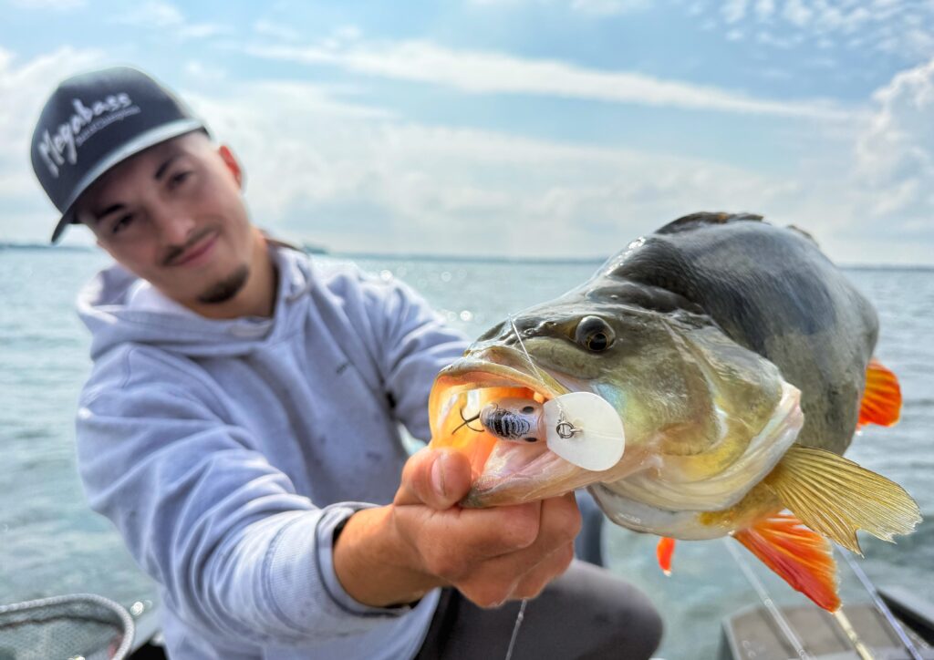 Perche 51cm pêche crankbait B-Switcher