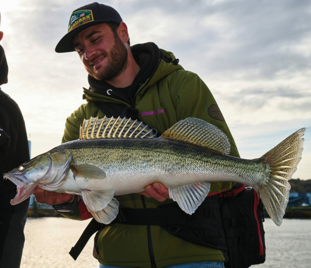 Pêcher sandre leurre