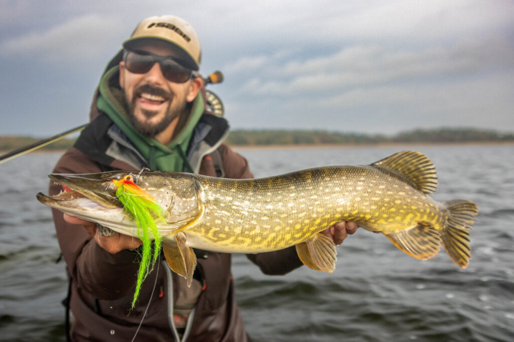 brochet pêche pêcheur mouche