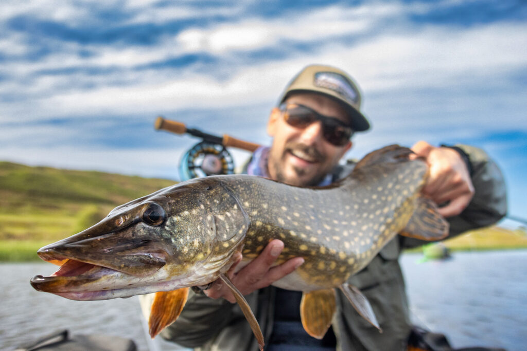 Brochet pêcheur streamers mouche