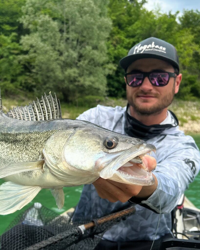 Pêcher été float tube sandre leurre megabass