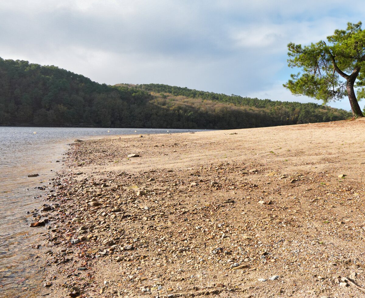 Plage lac arbre eau