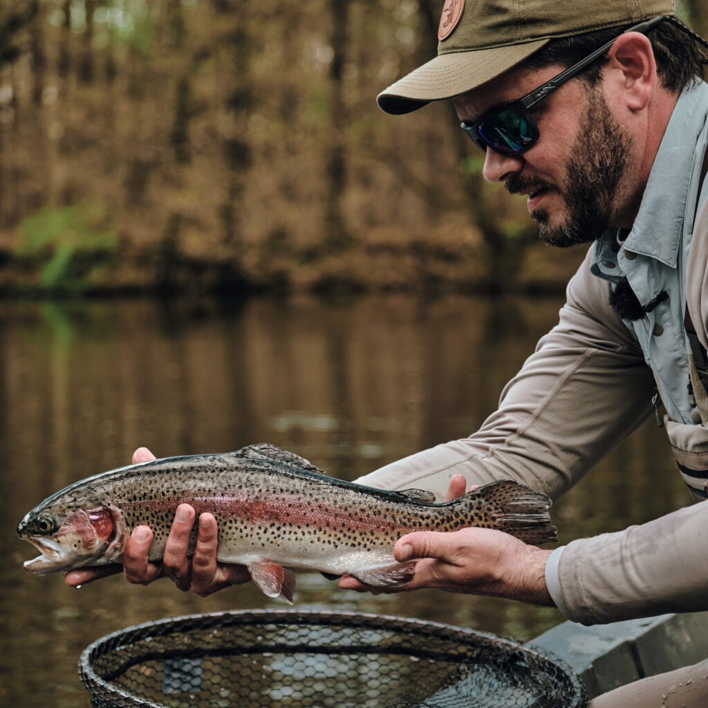 Truite arc en ciel résoir mouche
