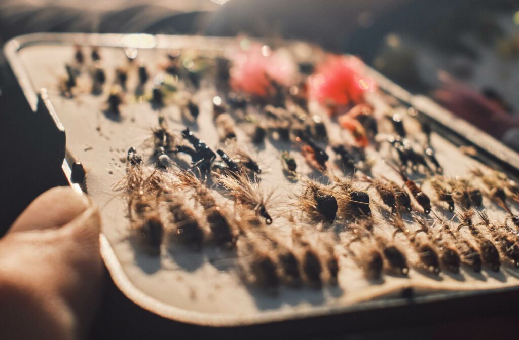 Mouches pêcher réservoir truite