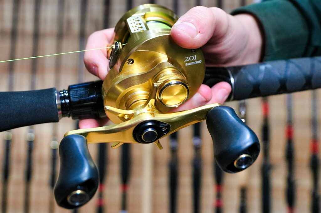 Moulinet canne pêcher big bait