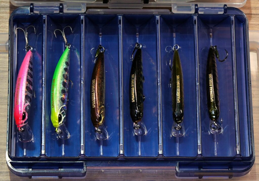 Poisson nageur réussir ouverture truite