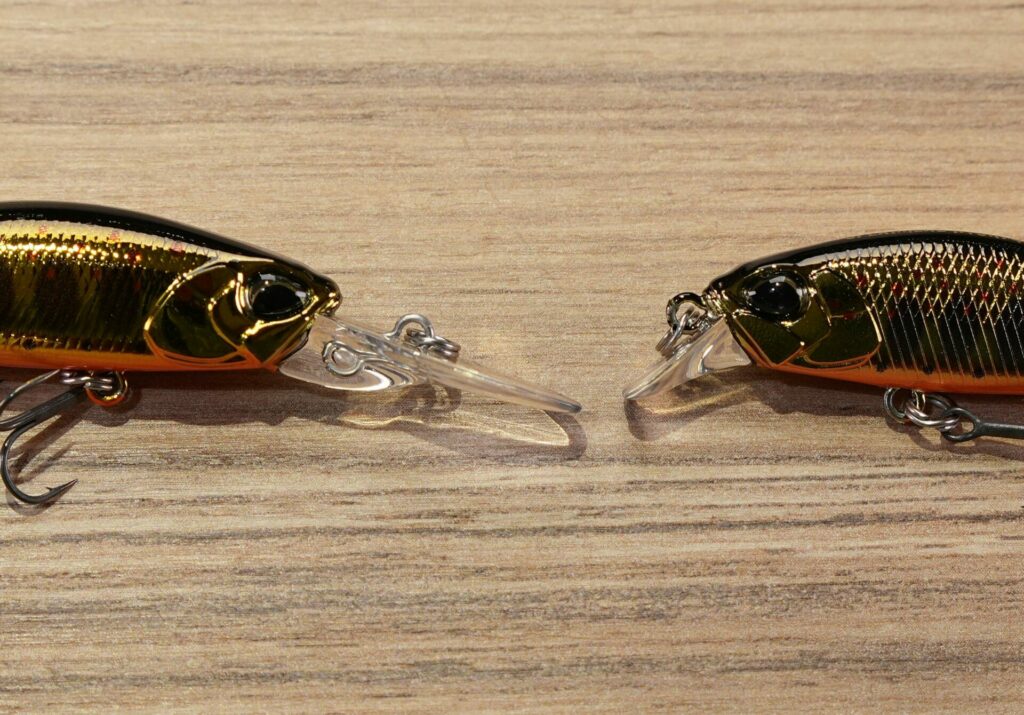 Pêcher truite poisson nageur