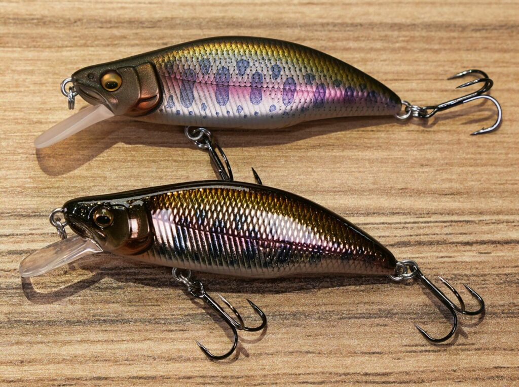 Pêcher truite poisson nageur