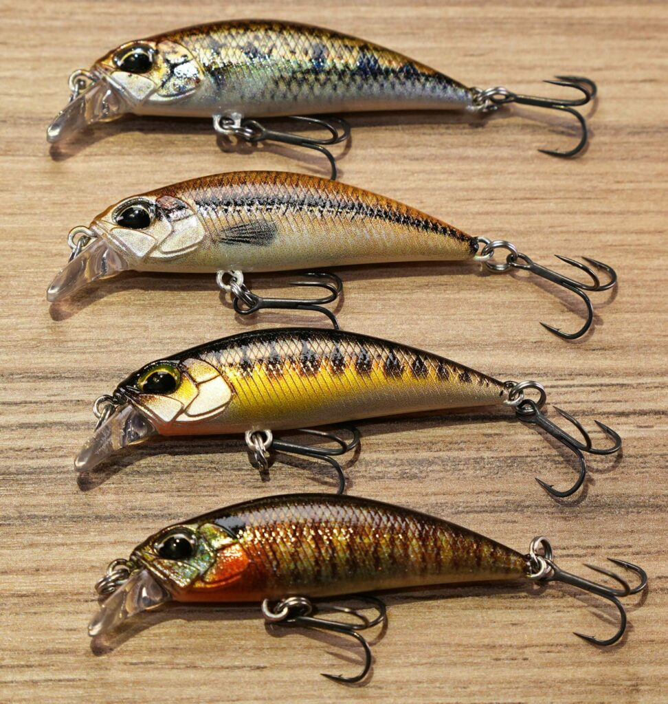 Pêcher truite poisson nageur