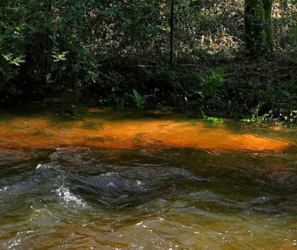 Truite poste au soleil