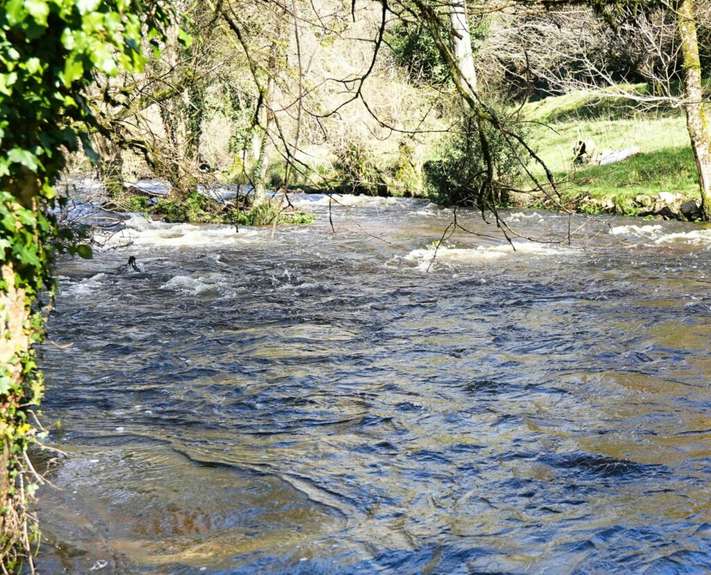 Ouverture truite poste