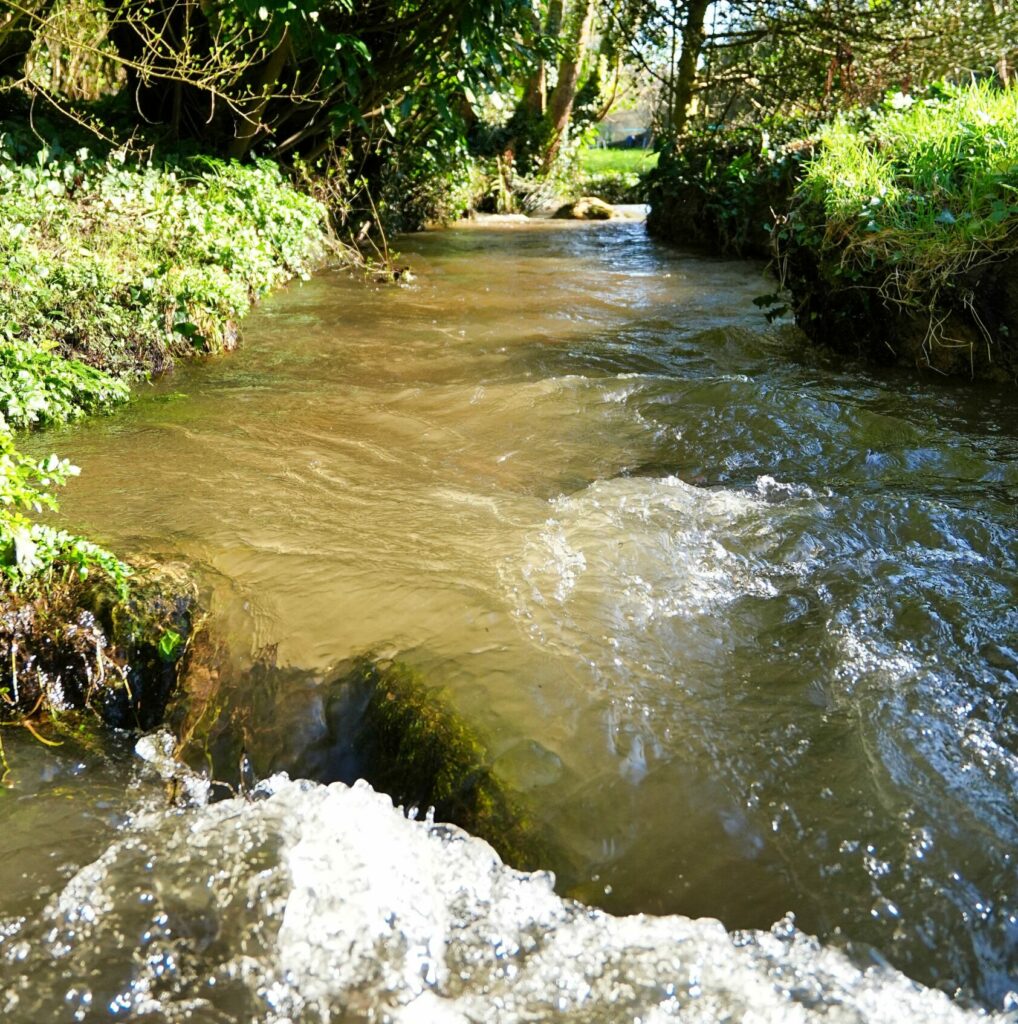 Réussir ouverture truite petit cours d'eau