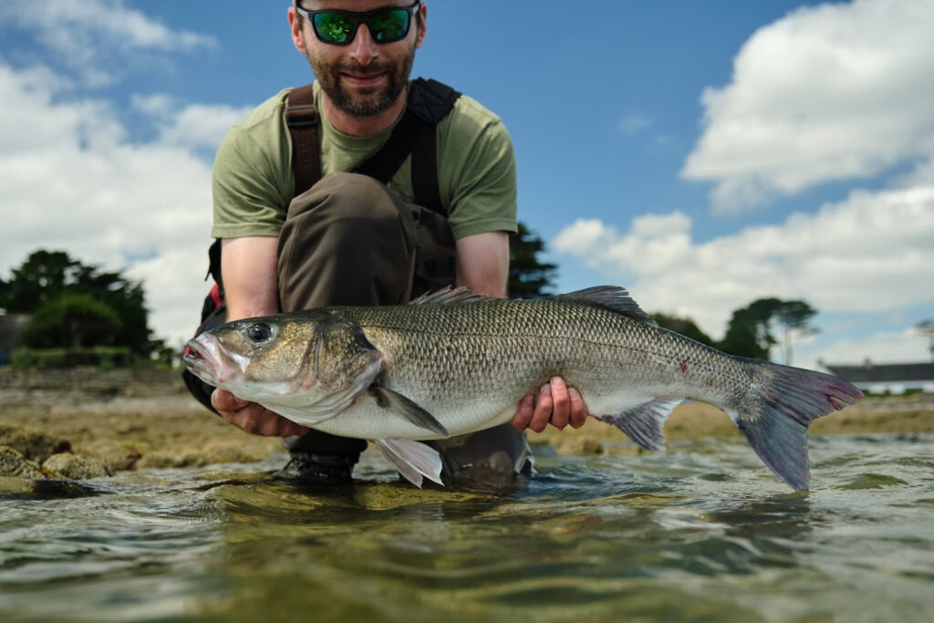 pêche du bar en estuaire