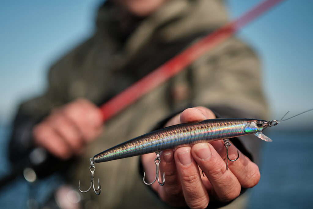 jerbait minnow DUO Tide Minnow