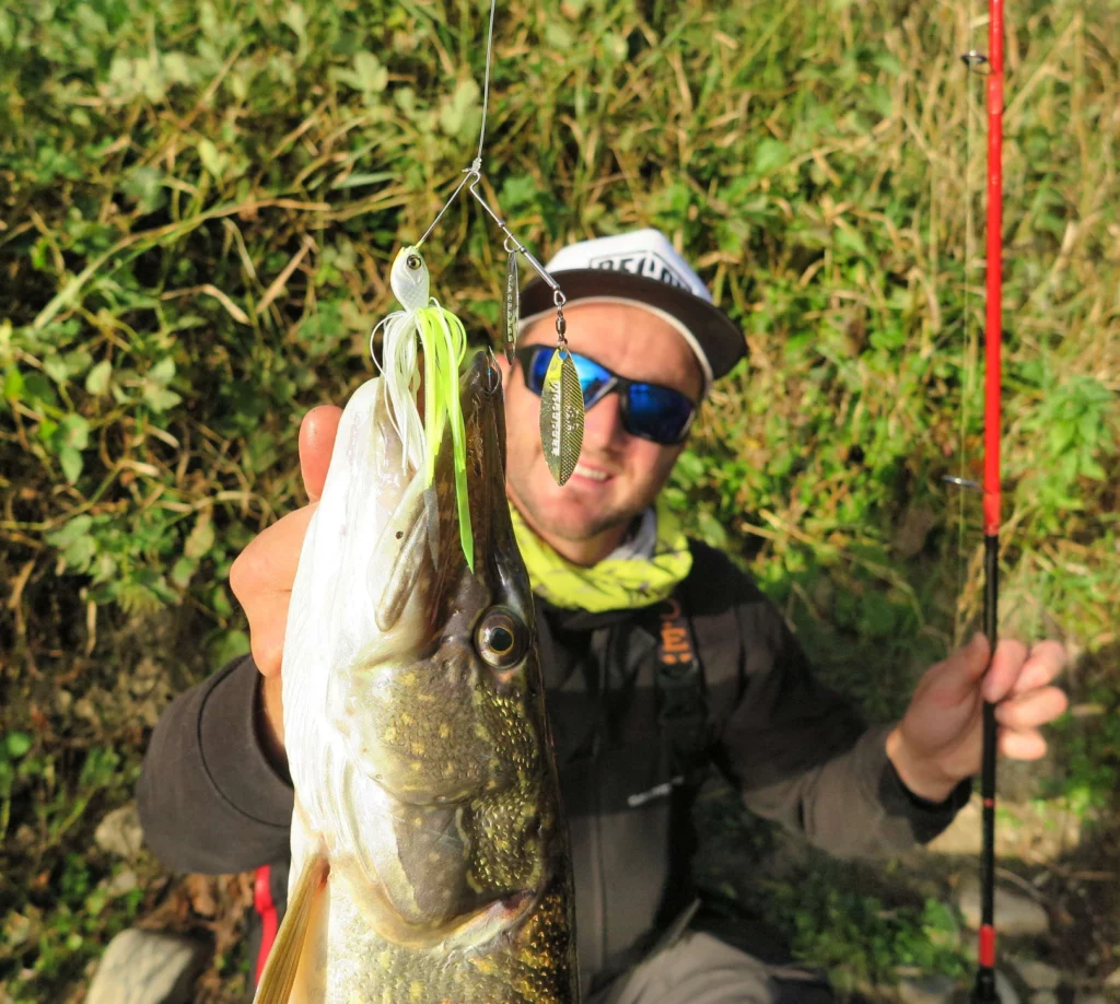 brochet spinnerbait réussir ouverture