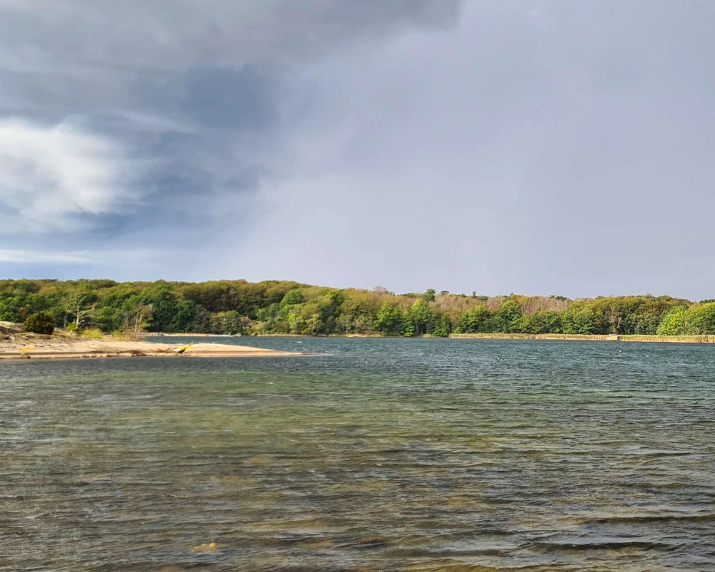 eau peu profond brochet