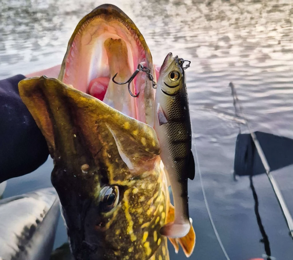 Mag Draft swimbait leurre ouverture brochet