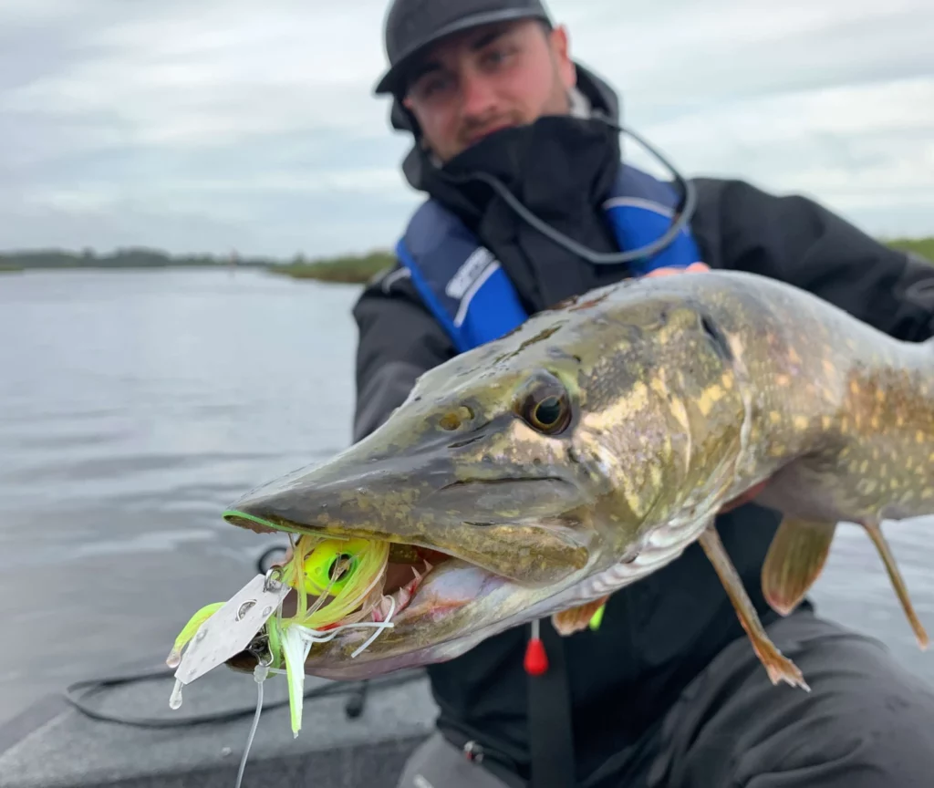 brochet chatterbait réussir ouverture