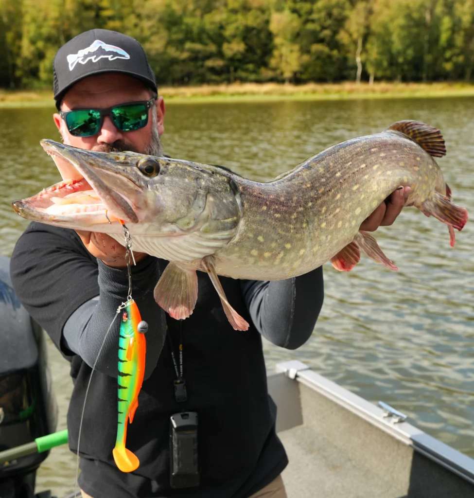 brochet swimbait ouverture