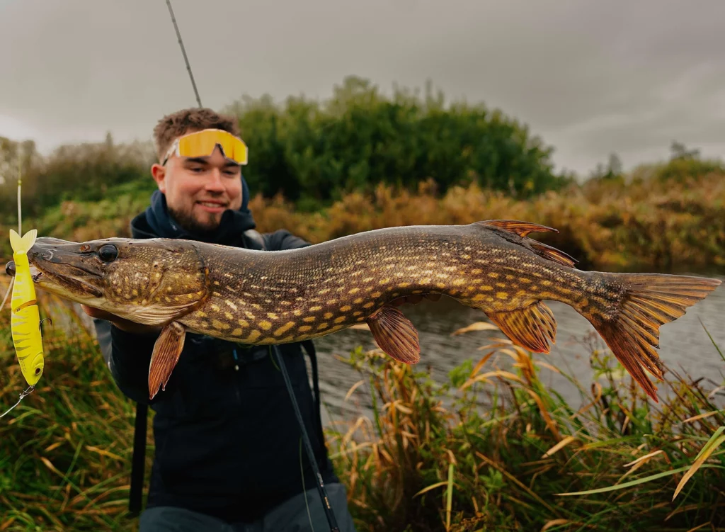 brochet glidebait réussir ouverture
