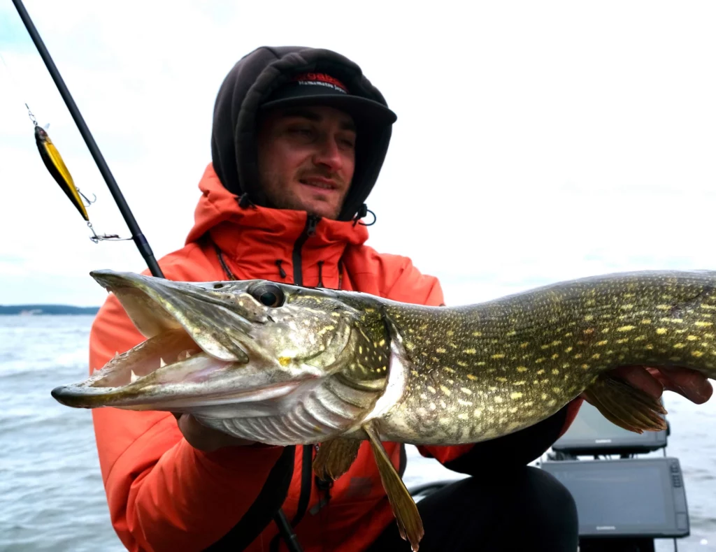 brochet jerkbait réussir ouverture