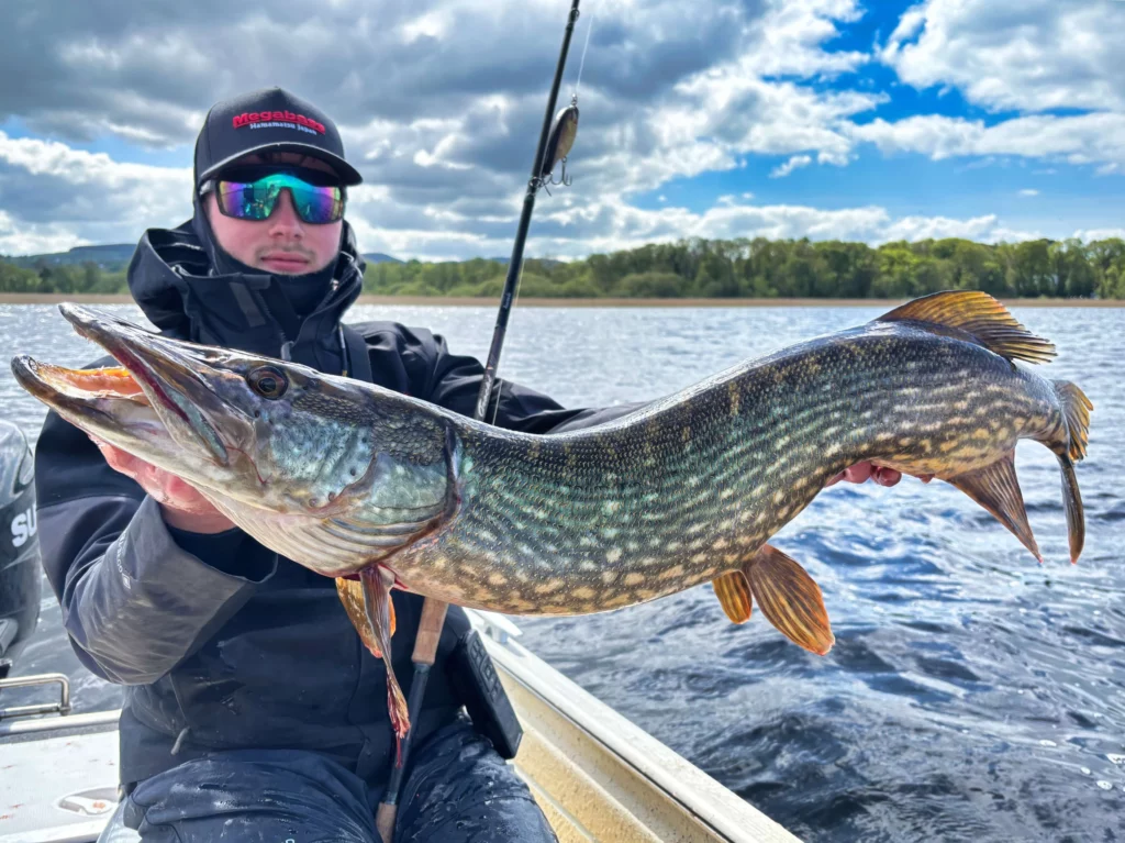 brochet jerkbait ouverture