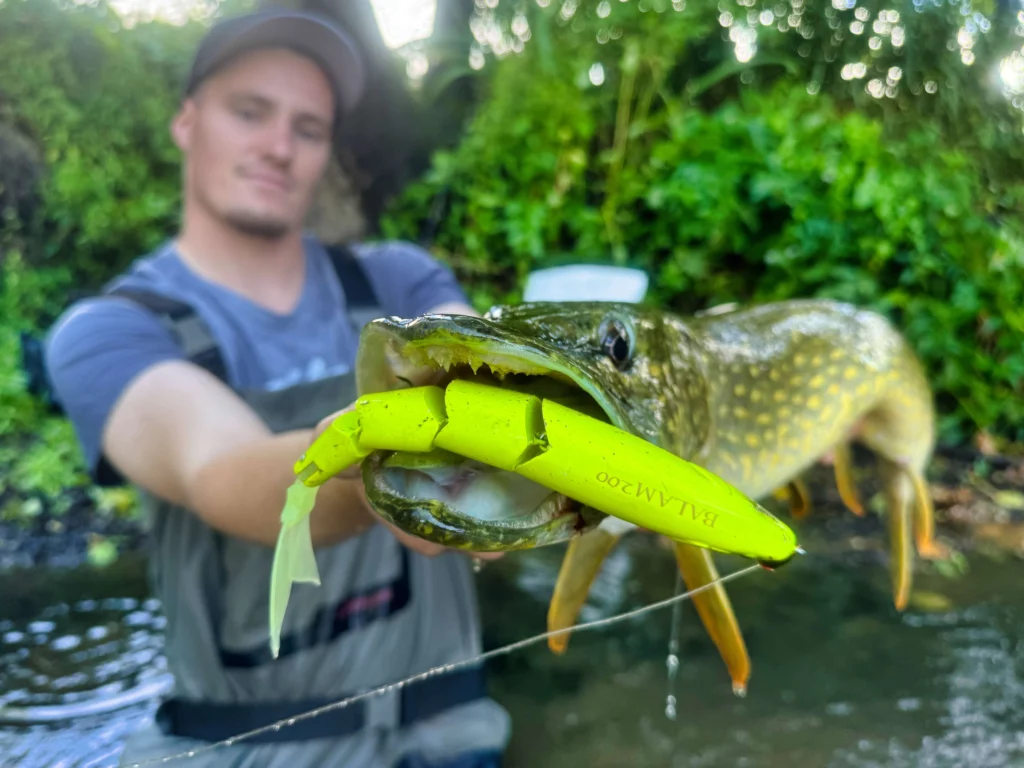 Balam swimbait leurre ouverture brochet