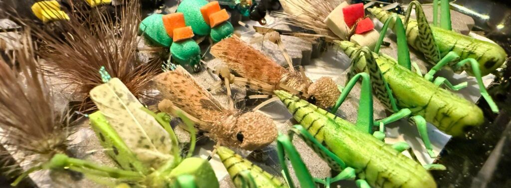 Pêcher à la mouche avec des terrestres