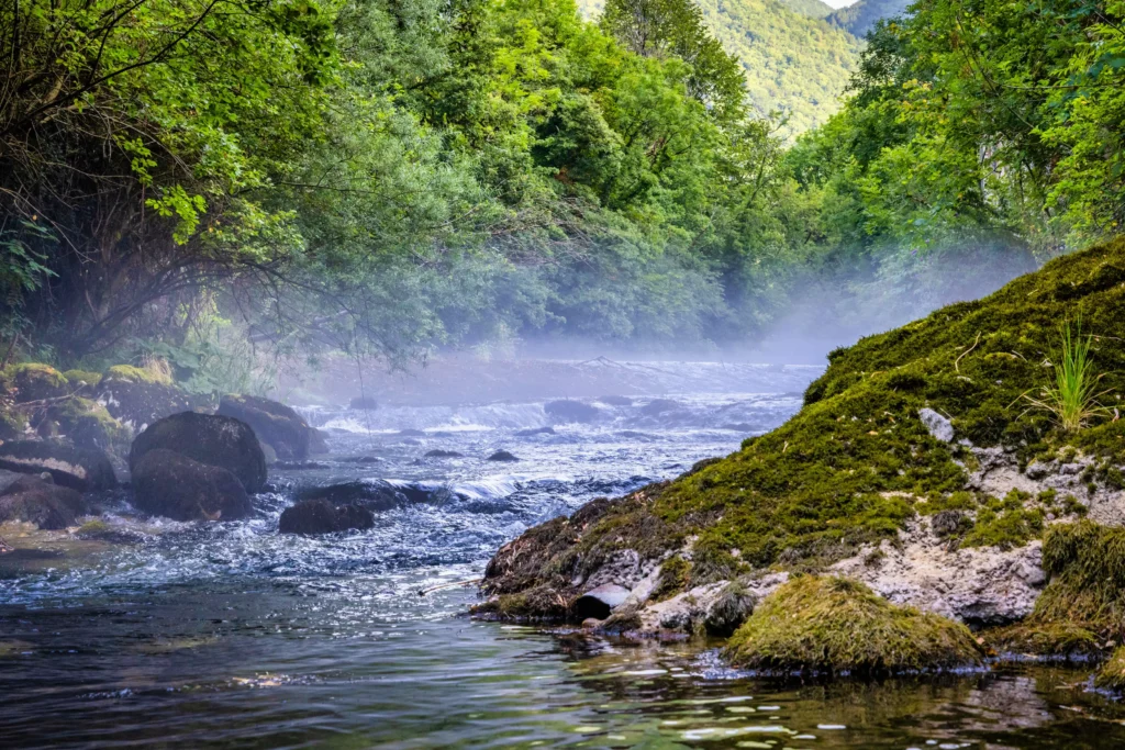 Rivière truite été pêcher