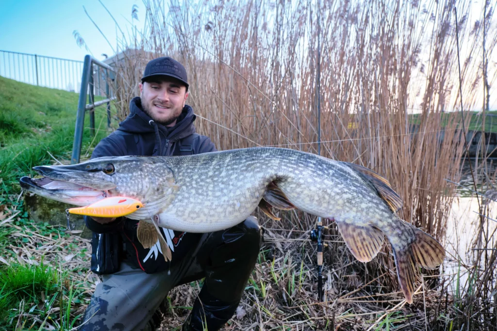 Borchet big bait pêcher