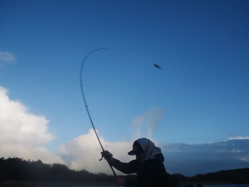 Pêcher brochet big bait