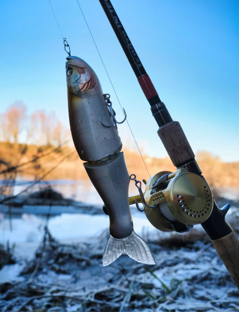 Casting swimbait brochet