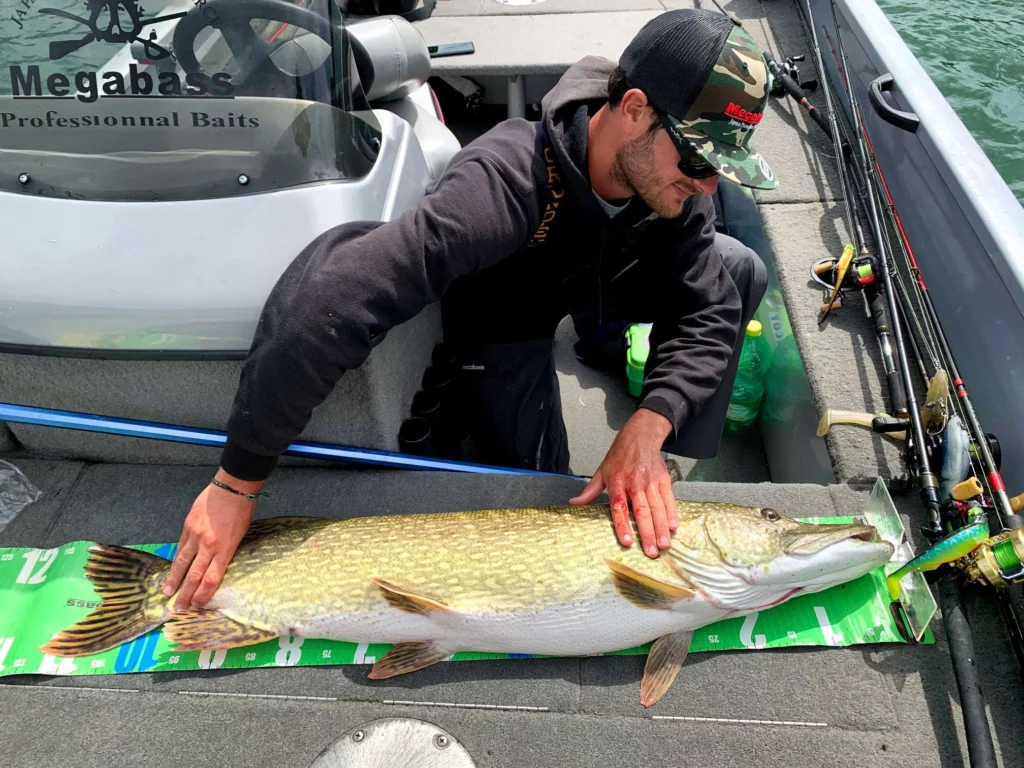 Big bait pêcher brochet