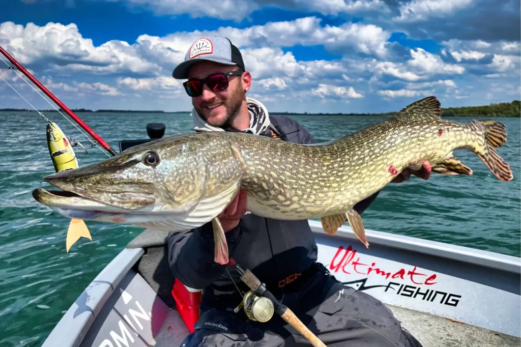 Brochet big bait
