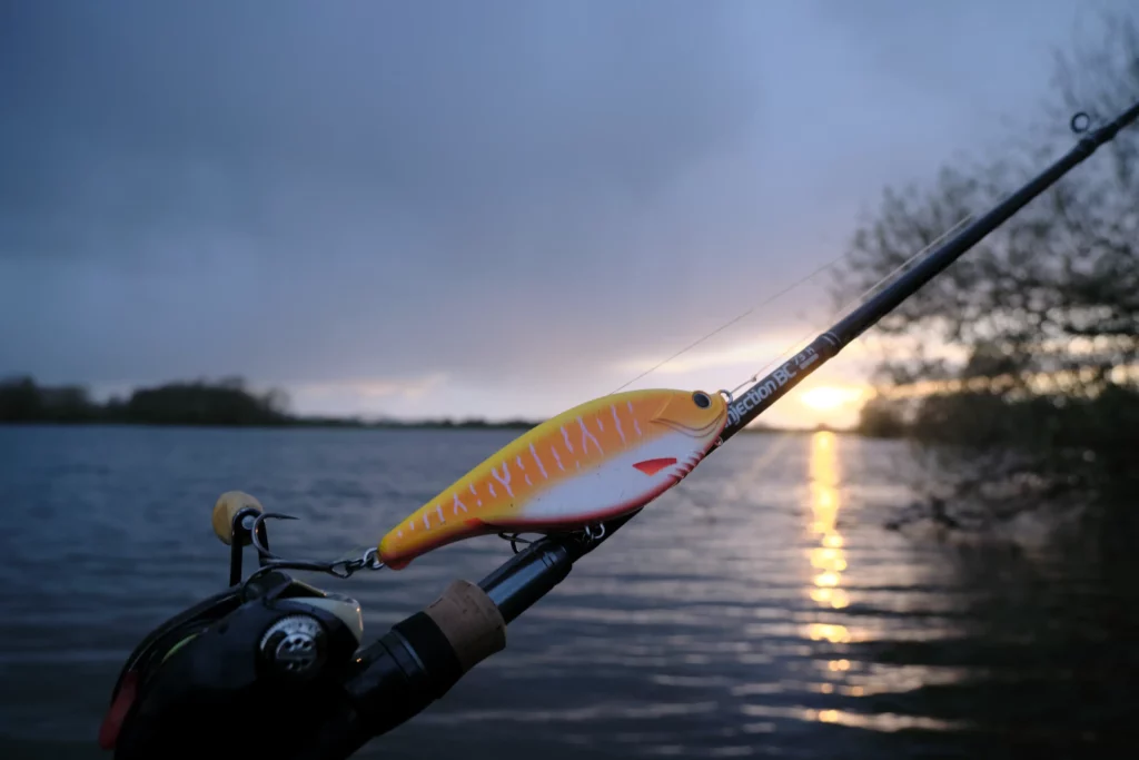 Pêcher brochet canne big bait