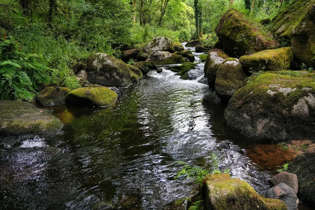 Pêcher truite été poste fosse