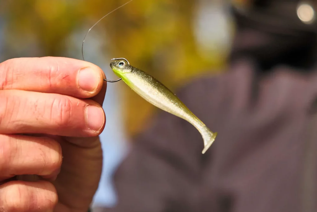 Pêcher drop shot leurre souple