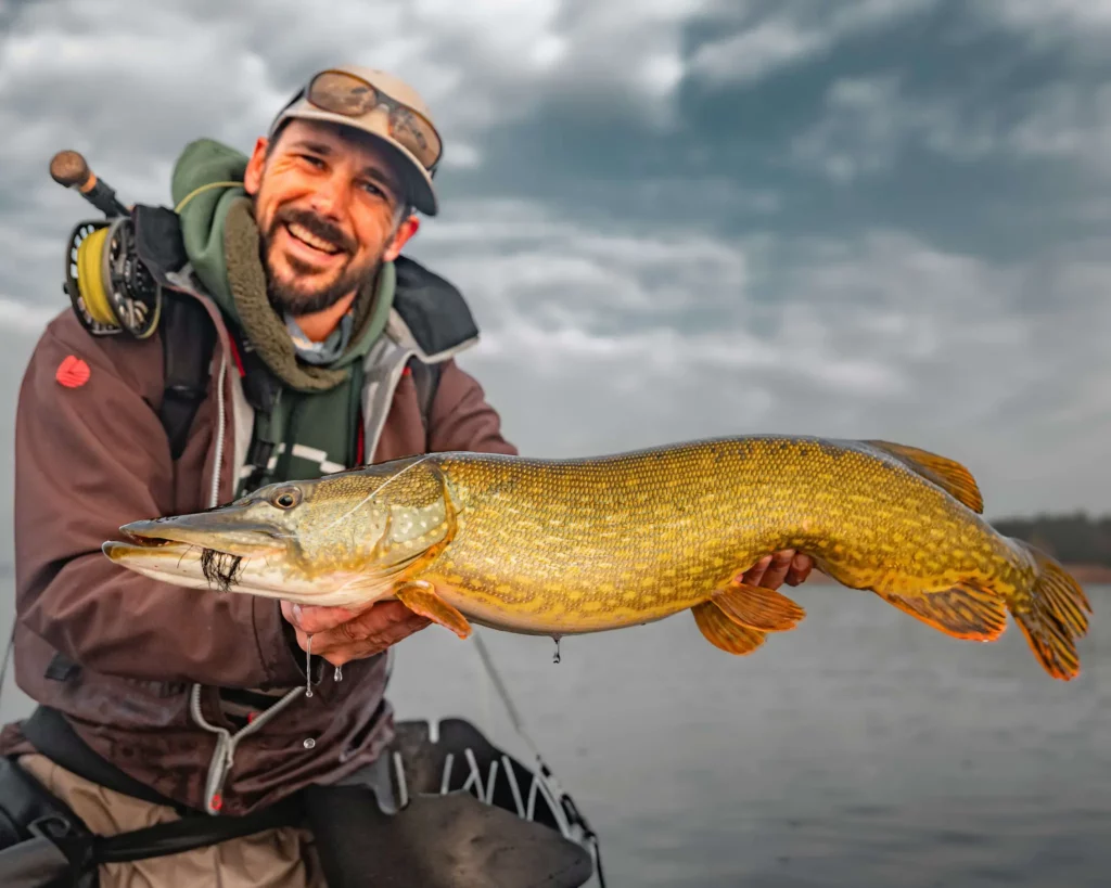 Brochet pris à la mouche