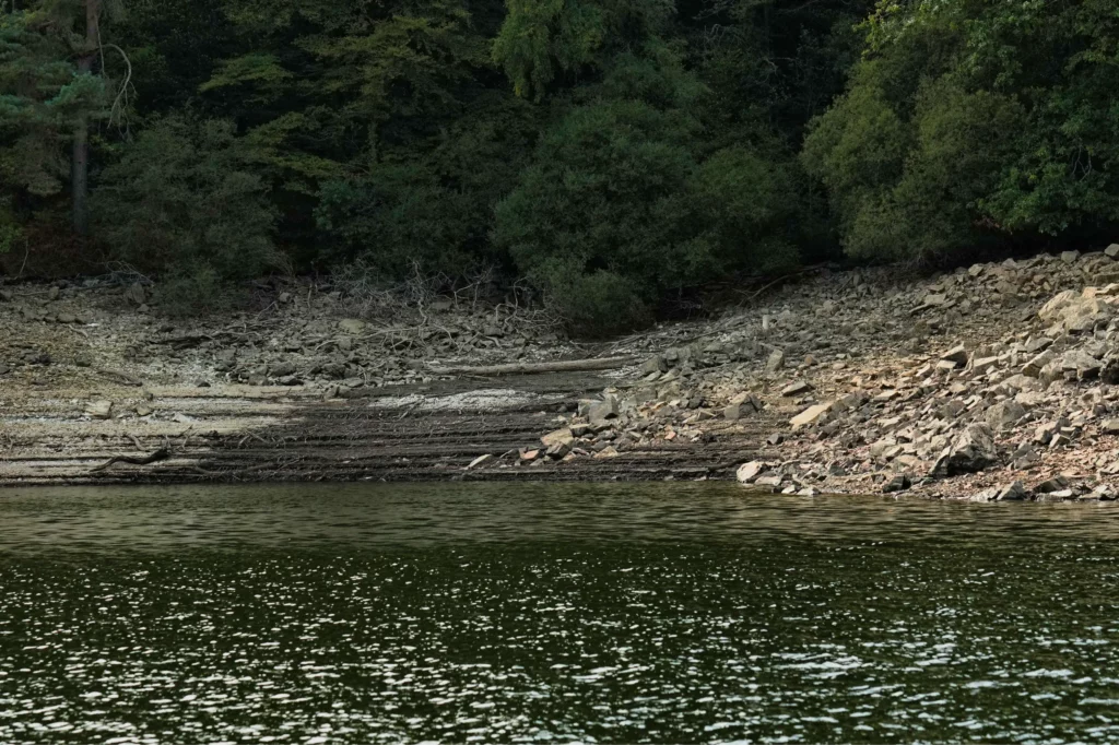 Poste sandre découvert pêche du bord