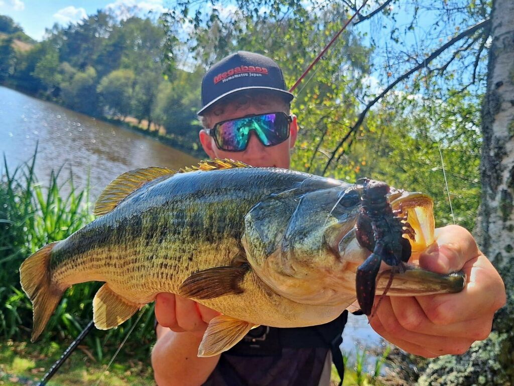 Black-bass de 53 cm pris par Coco-gz-fishing