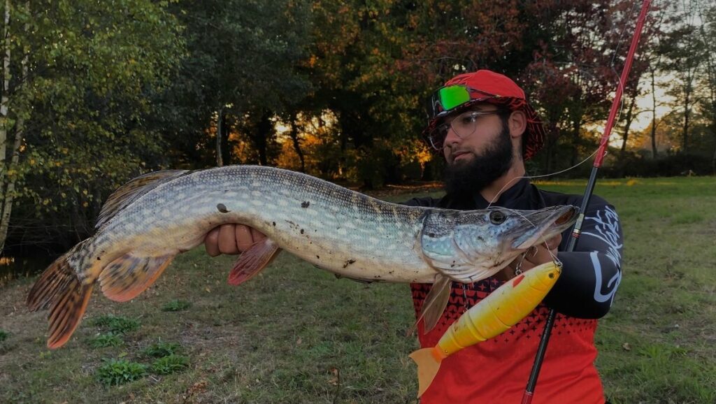 Brochet de 93 cm pris par thisma_fishing
