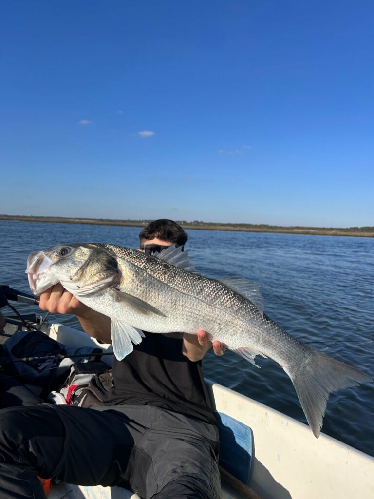 Bar de 70 cm pris par Lebass_fishing