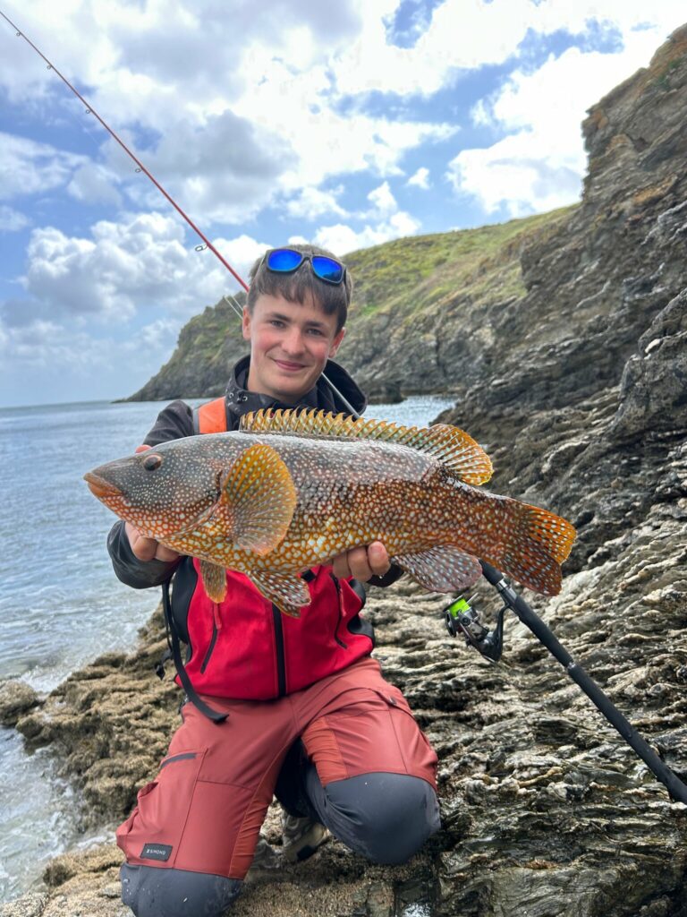 Vieille de 58 cm pris par Hugo_breizh_fishing