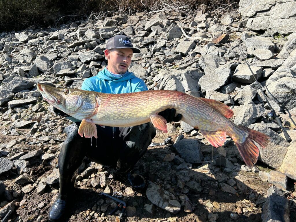 Brochet de 115 cm pris par Ewen