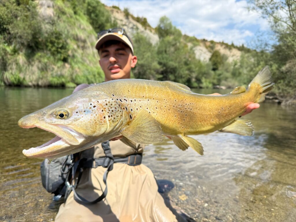 Truite de 68 cm pris par Salmo Carna