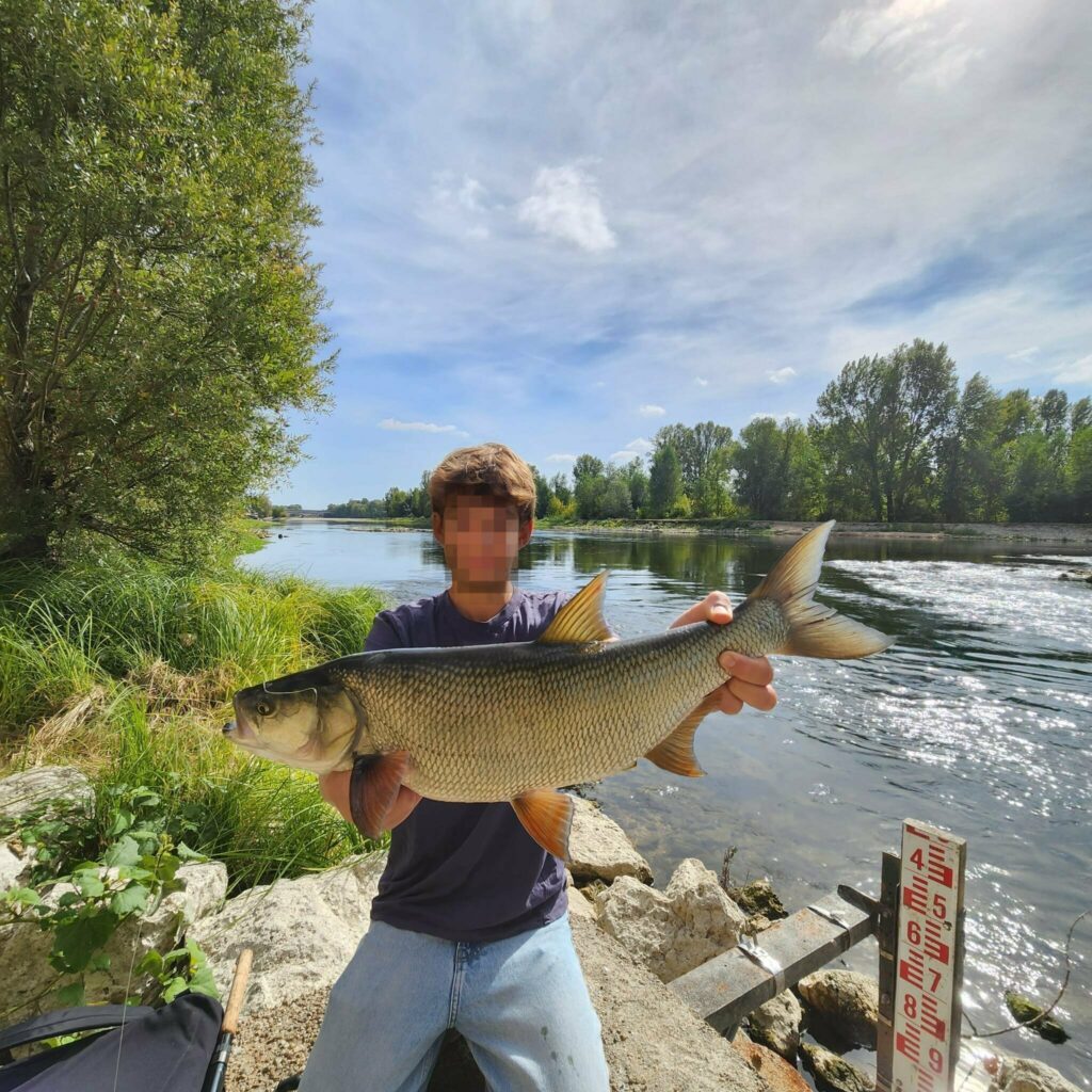 Aspe de 65 cm pris par Marius