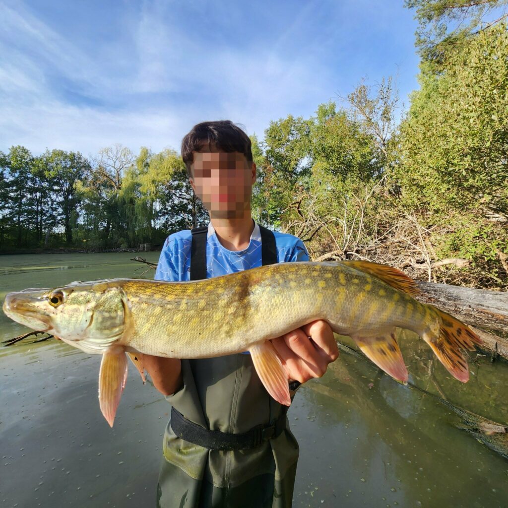 Brochet de 74 cm pris par Rmfishh